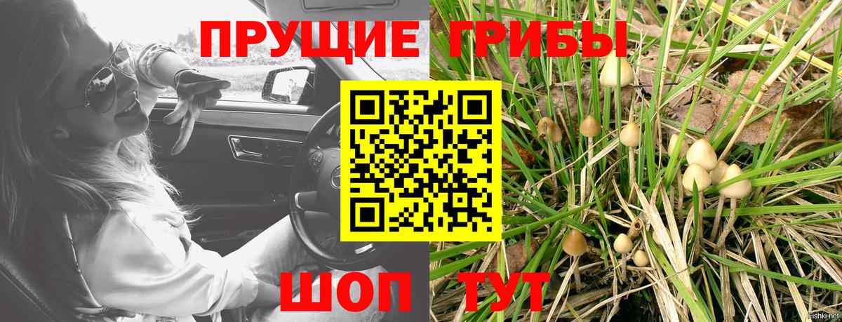 Псилоцибиновые грибы мухоморы  Галлюциногенные грибы мицелий  Медногорск  Вход с VPN 
