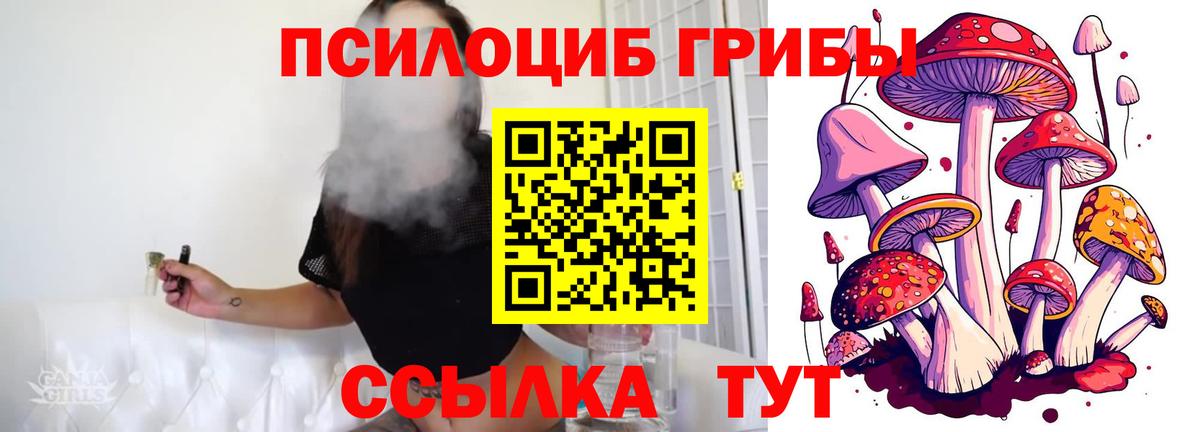 Псилоцибиновые грибы прущие грибы Медногорск